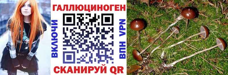 Галлюциногенные грибы мицелий  Устюжна 